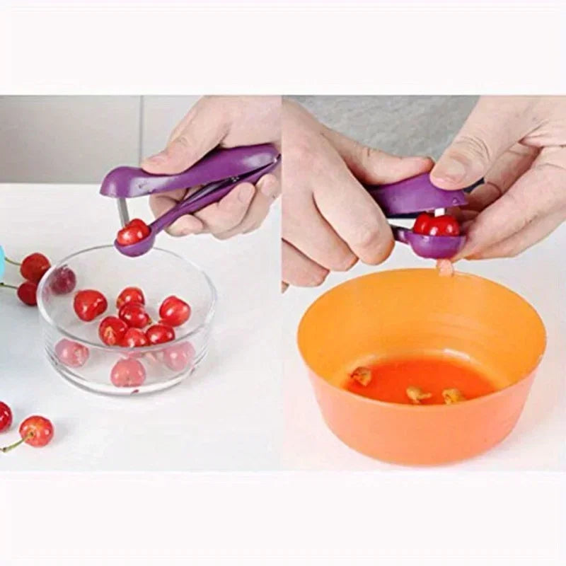 fruit, vegetable and cherry pit remover