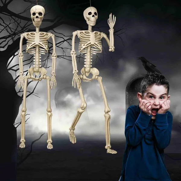 3 ft Life Size Human Skeleton with Full Body Posable Joints