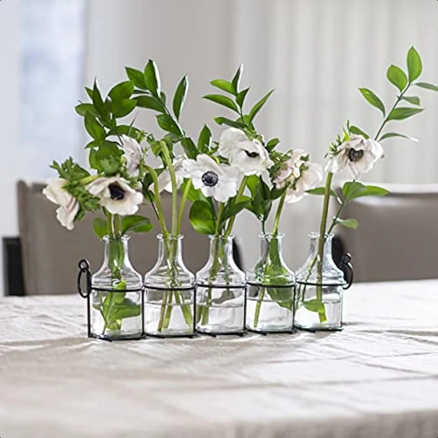 5pc Glass Flower Vase with Metal Holder