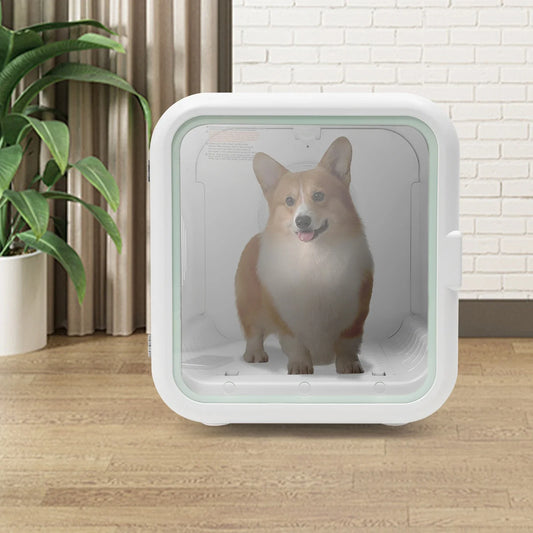 Professional Pet Dryer Box,