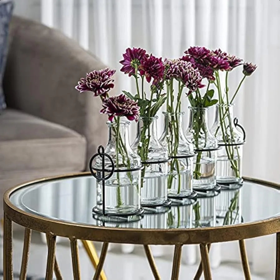 5pc Glass Flower Vase with Metal Holder