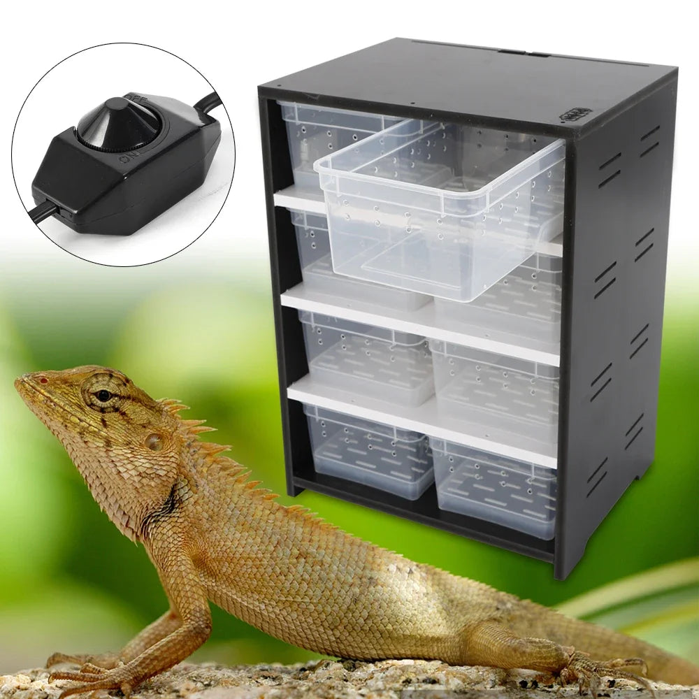 Acrylic Pets Feeding Cabinet, 220V High Capacity