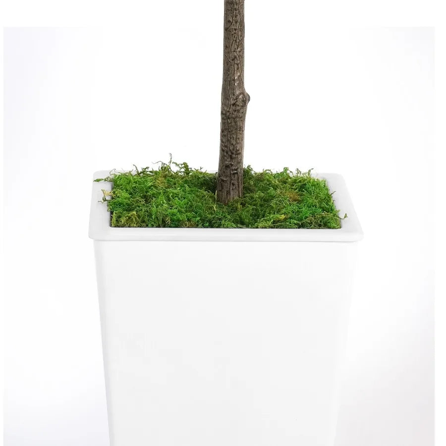 Artificial Olive Tree 7FT with Pot and Moss Artificial Plants for Home Office Dr