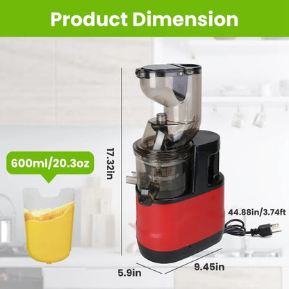 Cold Press Juicer Machine 300W Electric Slow Masticating Juicer for Whole Vegetable and Fruit with Reverse Function 2 Container