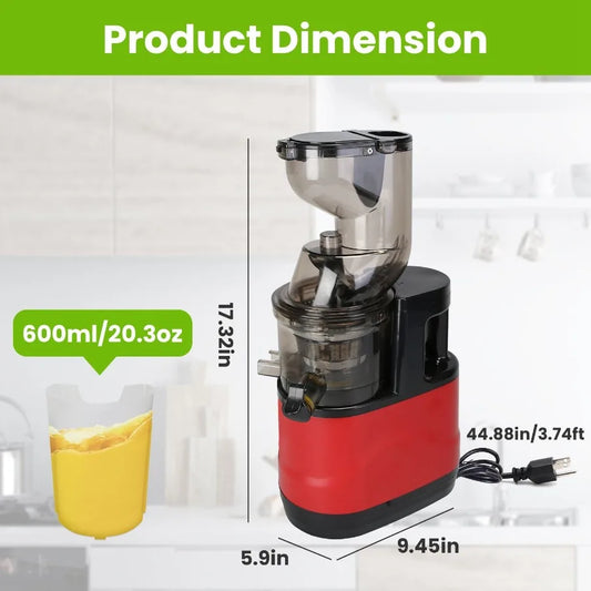 Cold Press Juicer Machine 300W Electric Slow Masticating Juicer for Whole Vegetable and Fruit with Reverse Function 2 Container