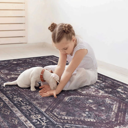 2x3 Machine Washable Area Rugs LowPile NonSlip NonShedding Foldable Kid Pet Friendly Area Rugs for living room bedroom kit