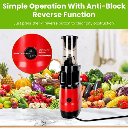 Cold Press Juicer Machine 300W Electric Slow Masticating Juicer for Whole Vegetable and Fruit with Reverse Function 2 Container