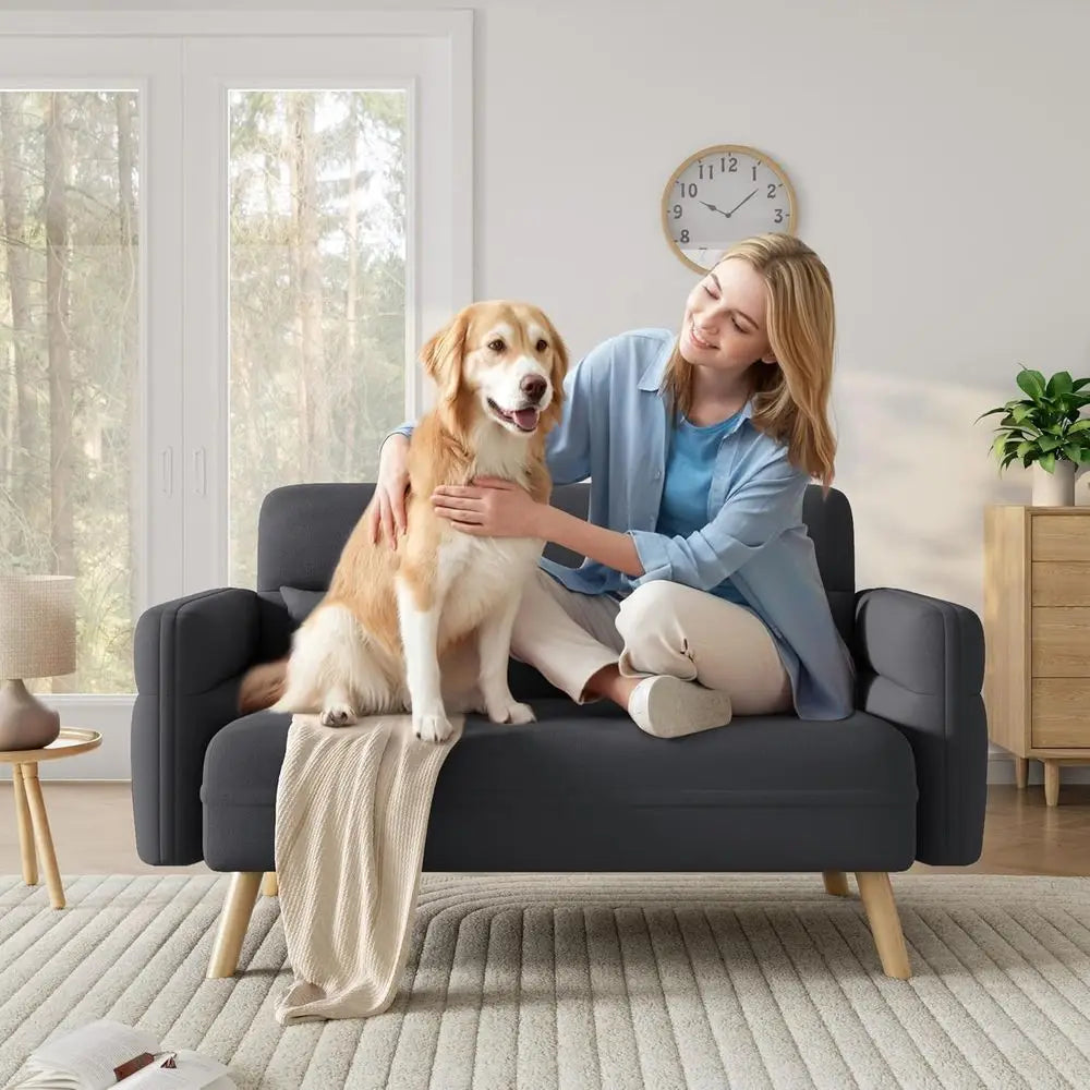 Sofa Loveseat Century 2 Seater Sofa Couch with Lumbar Pillows