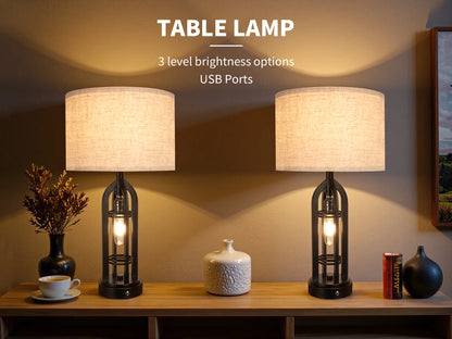 Industrial Retro Desk Lamp Night Light,3 Colors, Adjustable,