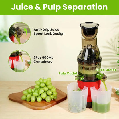 Cold Press Juicer Machine 300W Electric Slow Masticating Juicer for Whole Vegetable and Fruit with Reverse Function 2 Container