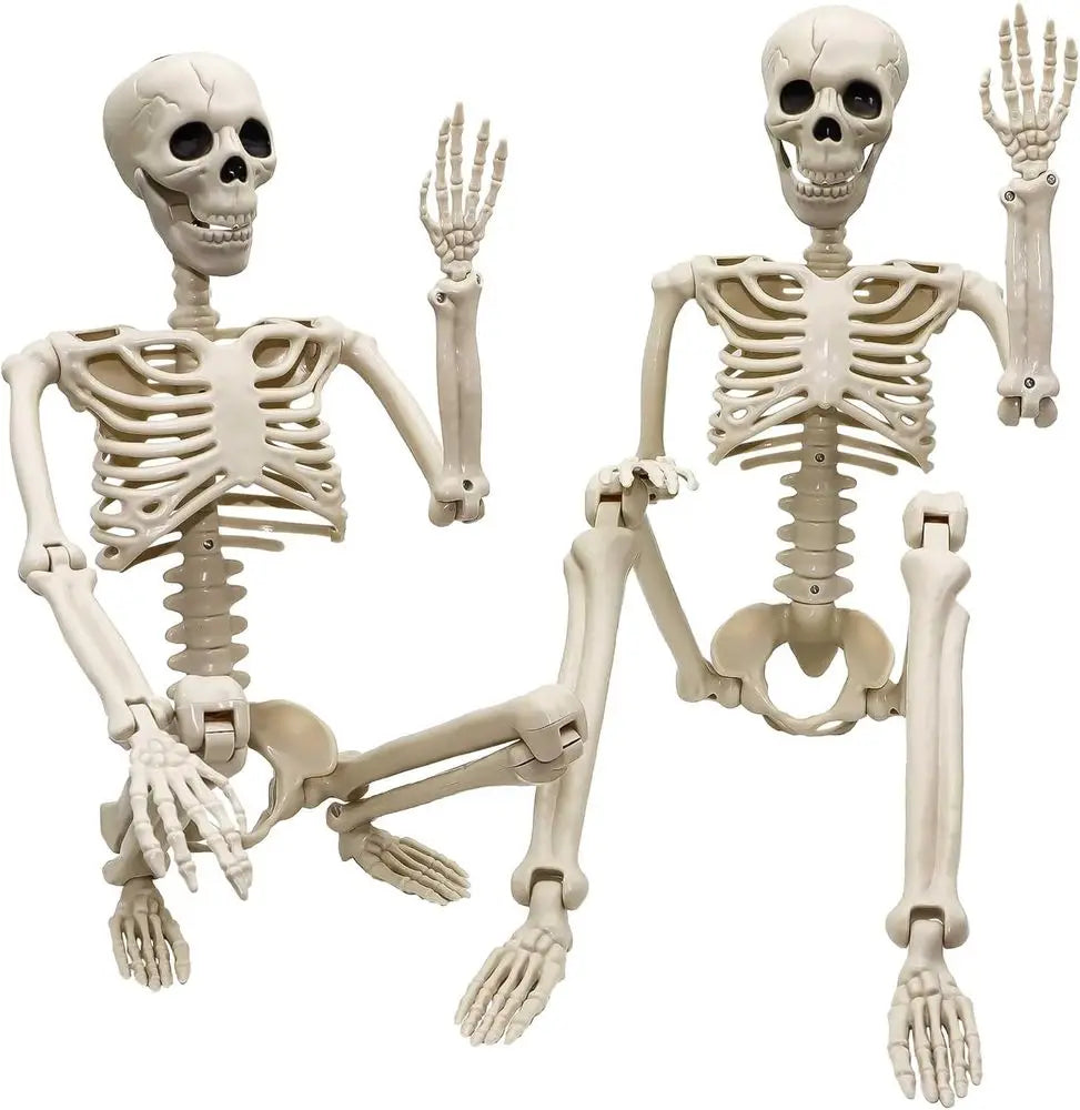 3 ft Life Size Human Skeleton with Full Body Posable Joints
