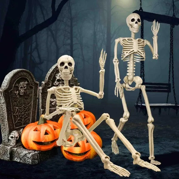3 ft Life Size Human Skeleton with Full Body Posable Joints