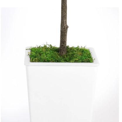Artificial Olive Tree 7FT with Pot and Moss Artificial Plants for Home Office Dr