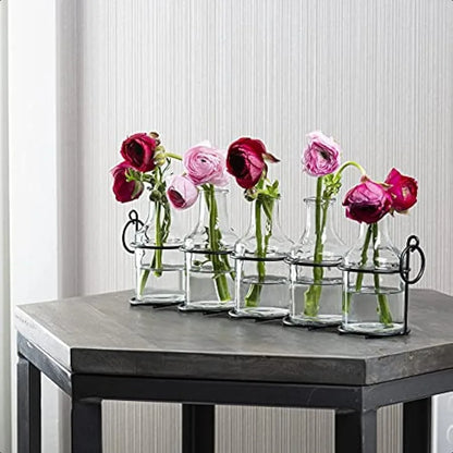 5pc Glass Flower Vase with Metal Holder