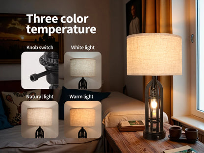 Industrial Retro Desk Lamp Night Light,3 Colors, Adjustable,