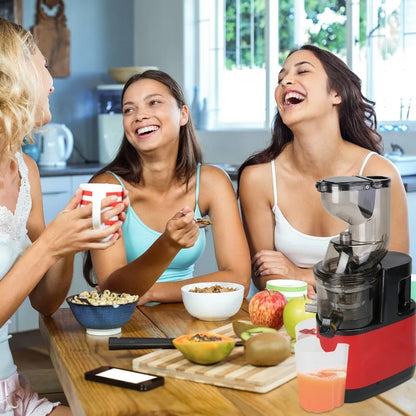 Cold Press Juicer Machine 300W Electric Slow Masticating Juicer for Whole Vegetable and Fruit with Reverse Function 2 Container