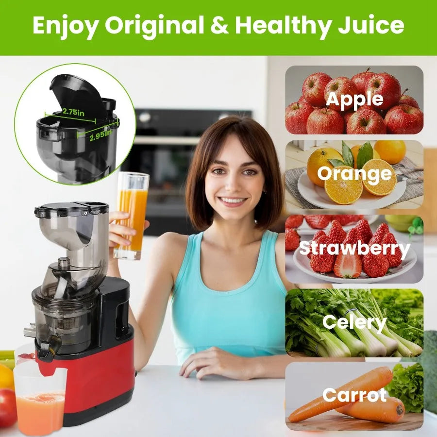 Cold Press Juicer Machine 300W Electric Slow Masticating Juicer for Whole Vegetable and Fruit with Reverse Function 2 Container