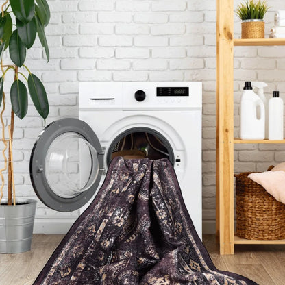 2x3 Machine Washable Area Rugs LowPile NonSlip NonShedding Foldable Kid Pet Friendly Area Rugs for living room bedroom kit