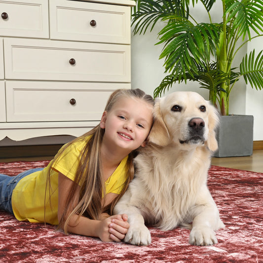 Large Size Area Rugs Modern Vintage Floral Rug Accent