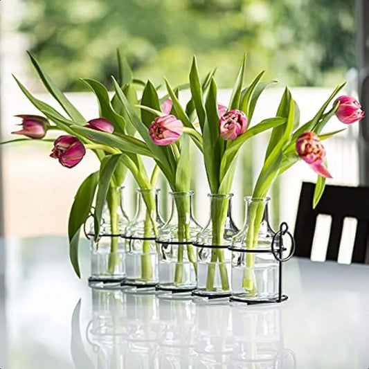 5pc Glass Flower Vase with Metal Holder