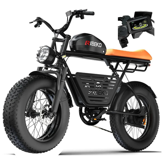 Electric Bike for Adults, Dual Motor2000Wo 20 in Fat Tire Ebike, Up to 37MPH & 80 Miles,48V 25Ah Removable Battery，7 Speed