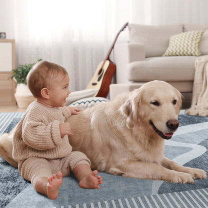 Area Rugs for Living Room, Machine Washable Vintage Rug,