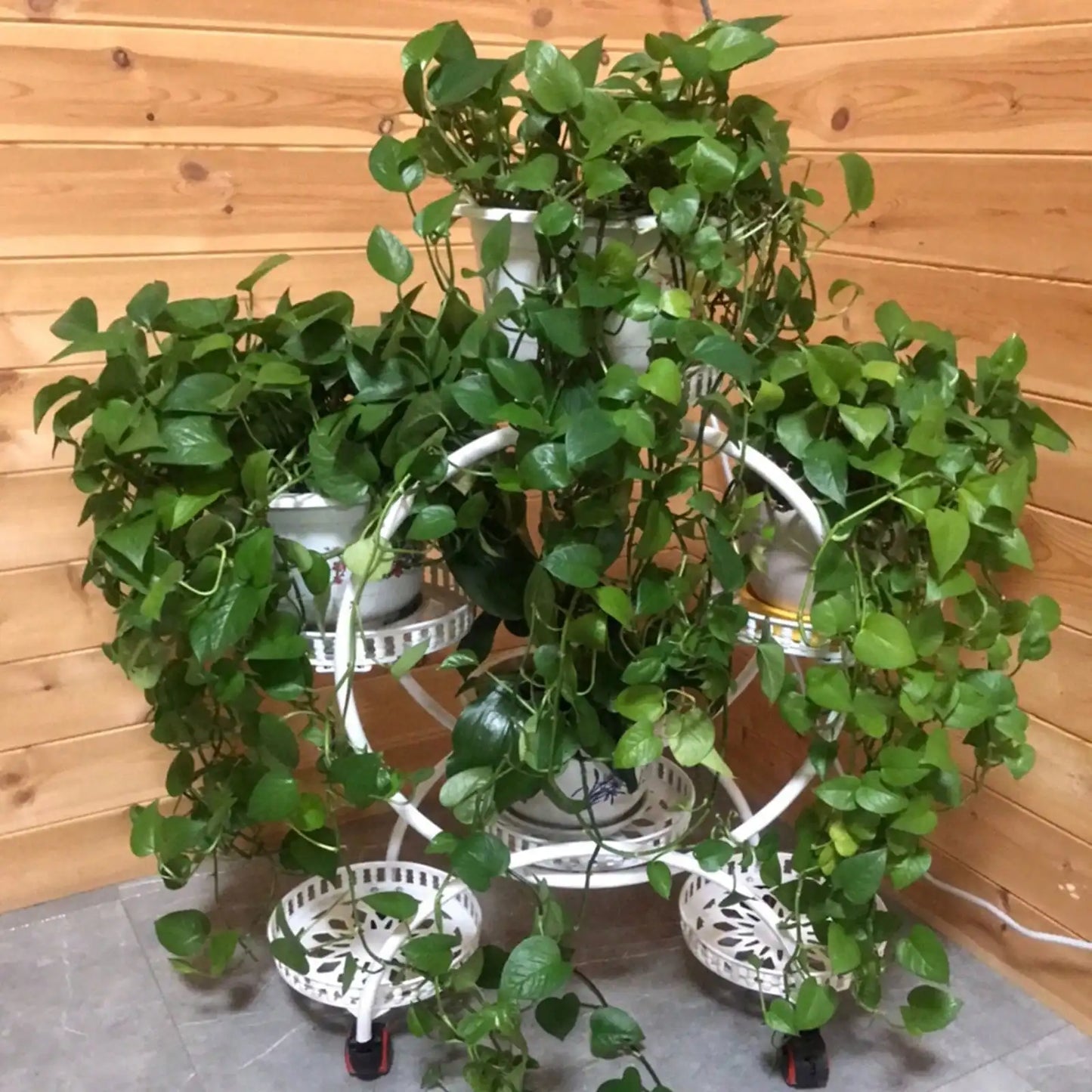 Pot Plant Shelf Round Metal Stand W/Wheel Rack for Flowers