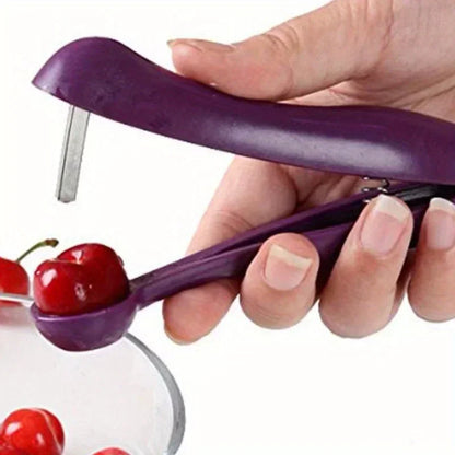 fruit, vegetable and cherry pit remover