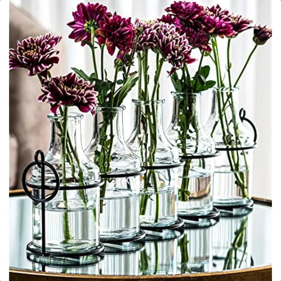 5pc Glass Flower Vase with Metal Holder
